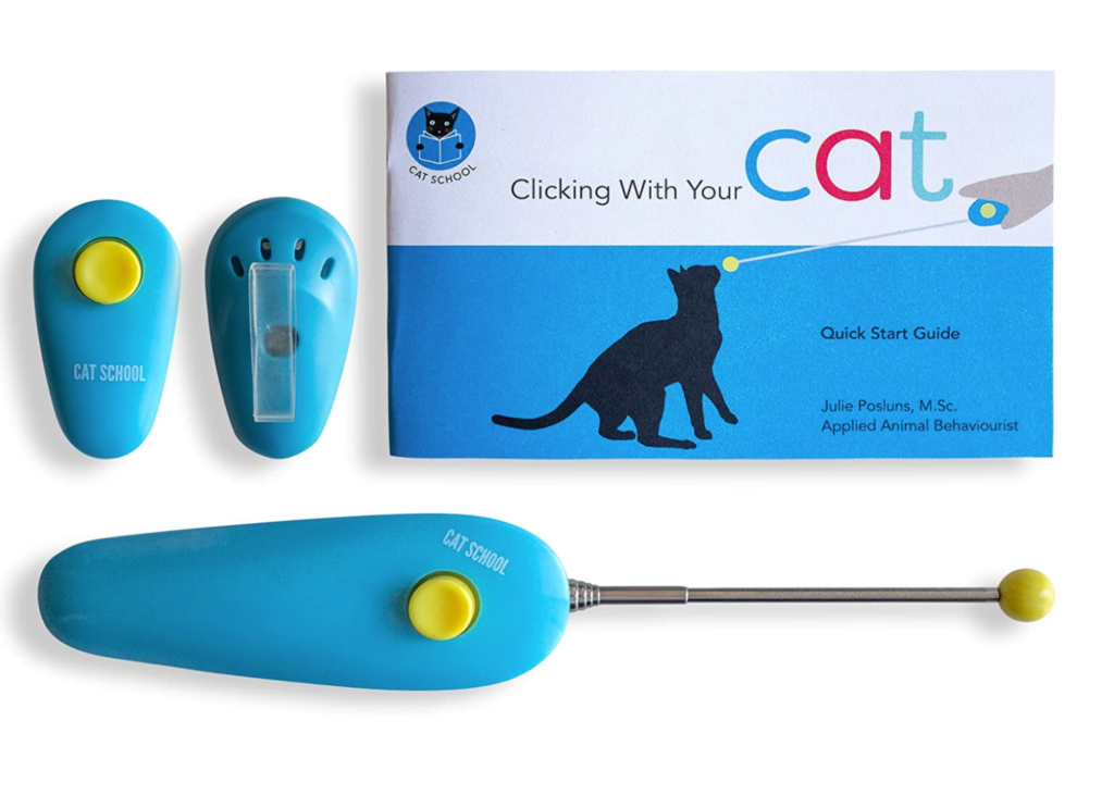 cat school cat training tools