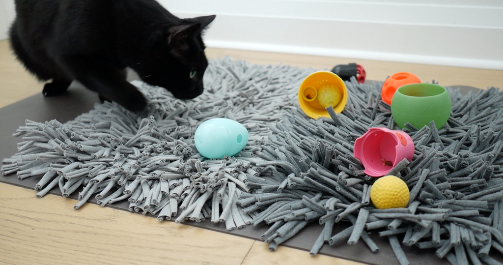 black cat searching for treats on a snuffle mat